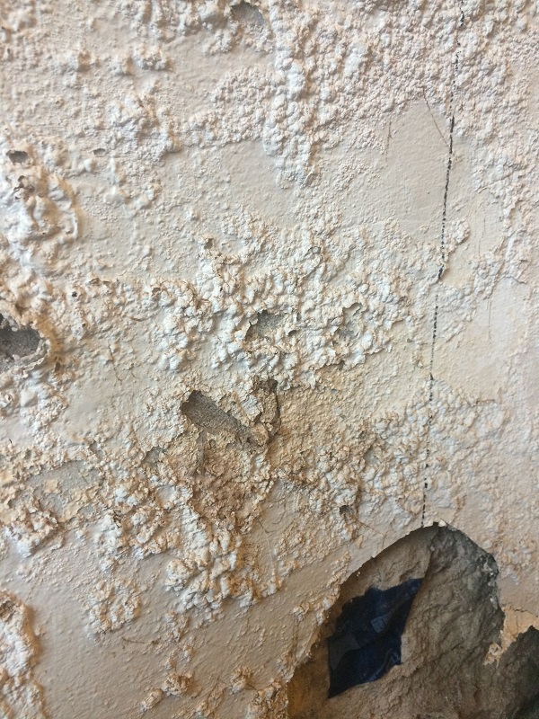 The effects of damp caused by moisture trapped in the walls due to cement render